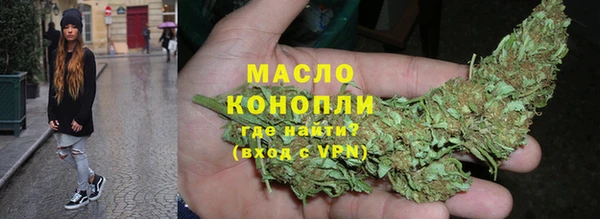 шишки Слюдянка